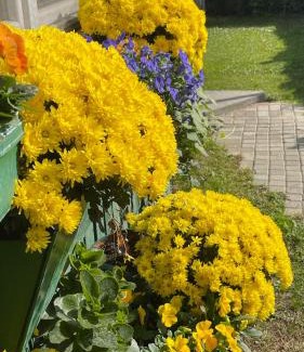 Skopje Region House | SOKO Guesthouse & Garden