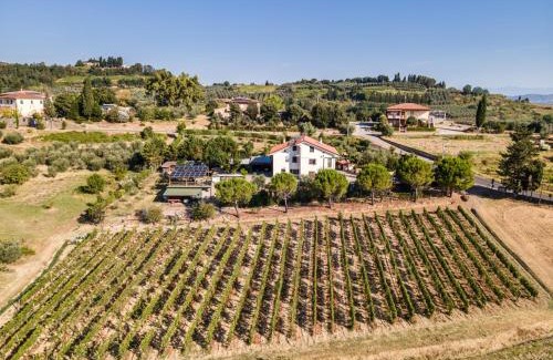 Terricciola Apartment | Sole Verde green house