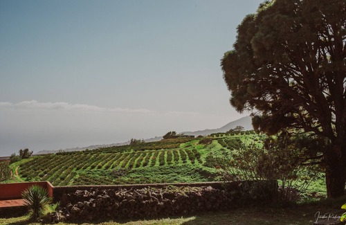 Brena Alta Ski Chalet | Soleil by Huskalia - Finca El Ingeniero
