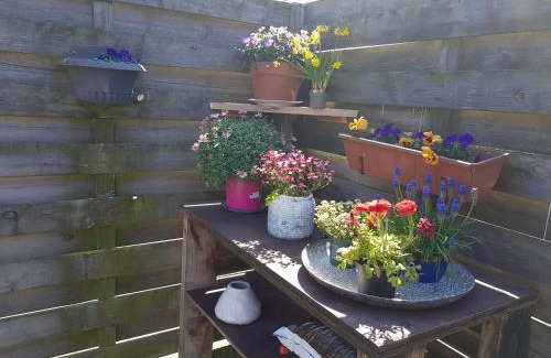 Bruinisse House | Solstice, quiet cottage in Bruinisse, Zeeland