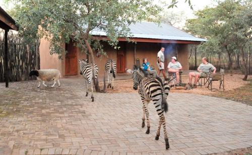 Bela-Bela Cabin | Sondela Nature Reserve & Spa Makhato Lodges