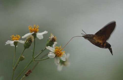 Xiulin House | SongYue Homestay