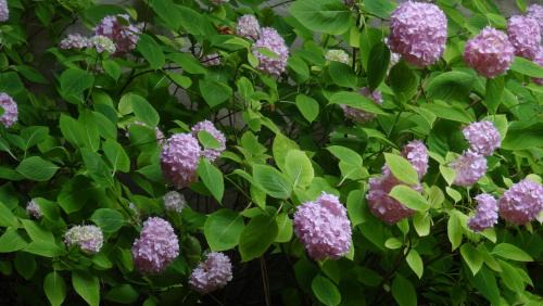 Oberdobling Apartment | Sonnberg Apartments