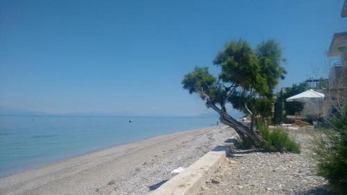 Xylokastro-Evrostina Apartment | Sophie holiday house