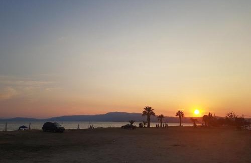 Paralia Ofryniou Apartment | Sophies Sea View Apartment Touzla