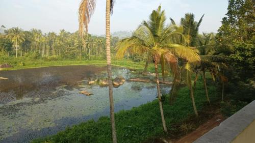 Kalpetta House | Souparnika Lakeview Homestay LLP