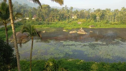 Kalpetta House | Souparnika Lakeview Homestay LLP