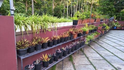 Kalpetta House | Souparnika Lakeview Homestay LLP