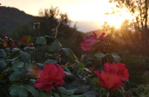 Le Mas-d'Azil Bed & Breakfast | Source Nature