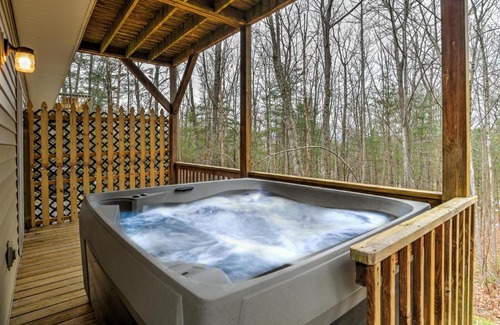 Royal Pines House | South Asheville Townhome 16 A