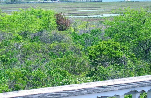 Shirley House | South Shore Private Get Away