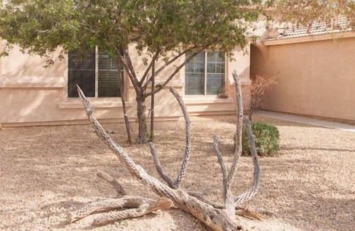 Castlegate House | Southwestern Style Desert Oasis