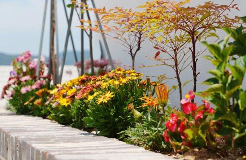 Gyeongju House | Soye stay