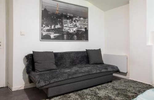 Mulhouse Apartment | Spacieux Studio, Maison de Maître, Parking Gratuit sur Place, MULHOUSE CENTRE