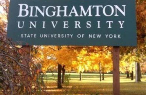 Johnson City Apartment | Spacious 3 bed by Wilson, Lourdes Hospitals near Vestal