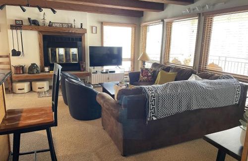 Crested Butte Apartment | Spacious 3 Br With Updated Kitchen Condo