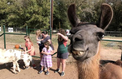 Dennis House | Spacious Cottage Rental for Group Getaway on Ranch near Dallas, Texas