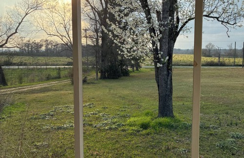 Collins House | Spacious Family Farmhouse