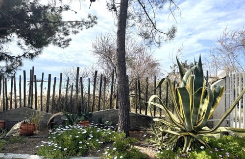 Elia House | Spacious Maisonette on the "eu Blue Beach" of Kalogria in Sithonia, Greece Num1