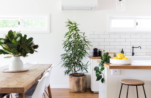 Gerringong House | Spacious renovated cottage with pool