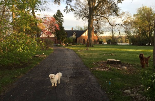 Colton Apartment | Spacious room in Tudor home overlooking the Maumee river near Metro Parks. Wifi