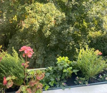 Helmersbuurt House | Spacious Room with private king bathroom