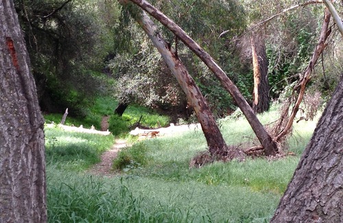 Topanga Apartment | Spacious Studio Nestled in Nature