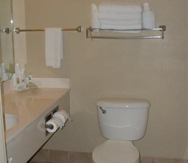 Florida Center Hotel | Spark by Hilton Orlando Universal Blvd