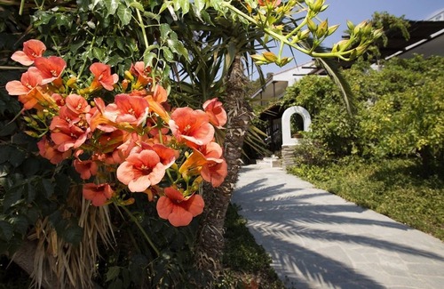 Elia Apartment | Spathies Apartments