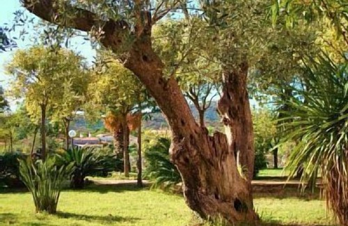 Matta 'e Peru House | SPECIAL HOLIDAYS IN SARDINIA