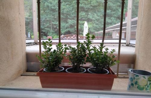 Grezzana Ski Chalet | Spirit in the sky, a tiny house on the hills