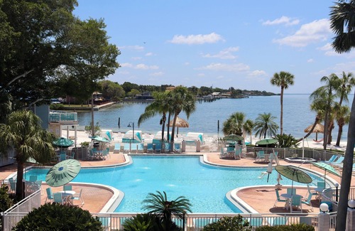 Pinellas Point House | Splash and Relax! Private Beach, Onsite Pool, Pet-friendly Accommodation