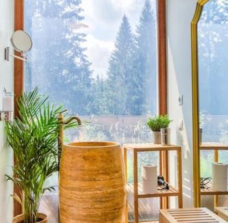 Poiana Brasov Apartment | Splendor 3 bedroom flat in Silver Mountain