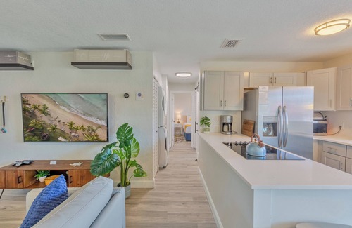 Dunedin Condo | Spotlessly Clean Comfy King Beds 1 Mi 2 Honeymoon Beach Pass Included 4 Stay