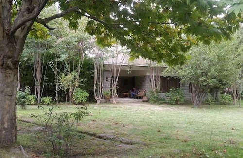 Gilgit House | Springfield