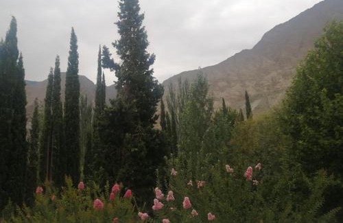 Loralai District Hotel | Springfield Resort