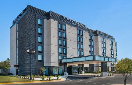 Lakeview Hotel | SpringHill Suites by Marriott Gainesville Haymarket
