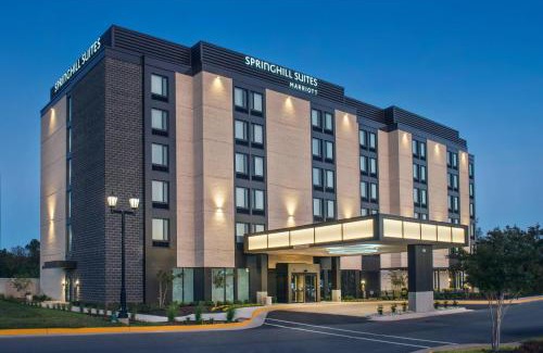 Lakeview Hotel | SpringHill Suites by Marriott Gainesville Haymarket