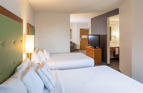 Hampton Hotel | Springhill Suites by Marriott Hampton Coliseum