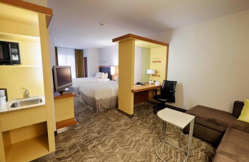 Newtonville Hotel | SpringHill Suites by Marriott Albany Latham-Colonie