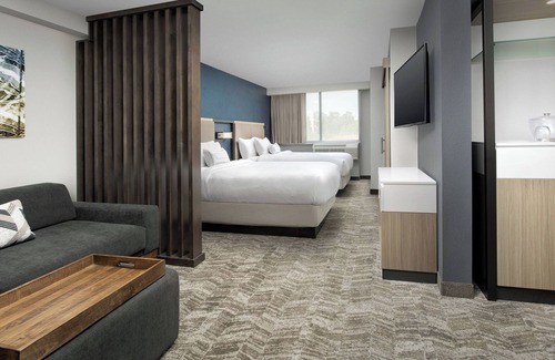 Sandy Springs Hotel | SpringHill Suites by Marriott Atlanta Perimeter Center