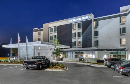 Charlotte Hotel | SpringHill Suites Charlotte Southwest