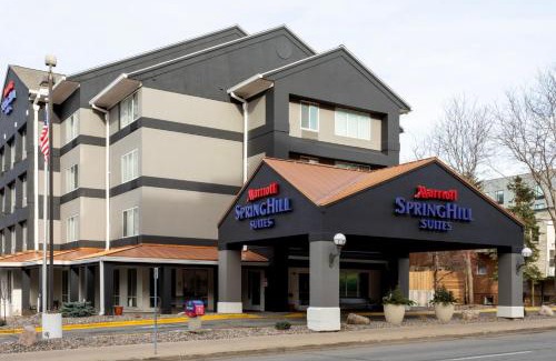 Kutzky Park Hotel | SpringHill Suites Rochester Mayo Clinic Area/Saint Marys