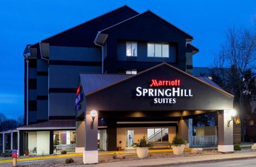 Kutzky Park Hotel | SpringHill Suites Rochester Mayo Clinic Area/Saint Marys