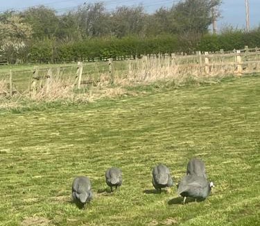 Ridgeway House | Springvale Farm Holiday Let