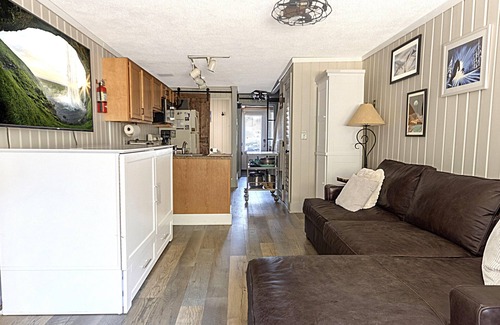 Snowshoe House | SR 21A: Summer modern mountain retreat! EV charger & dogs welcome!