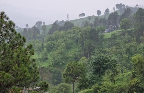 Muzaffarabad Bed & Breakfast | Srinagar Homes