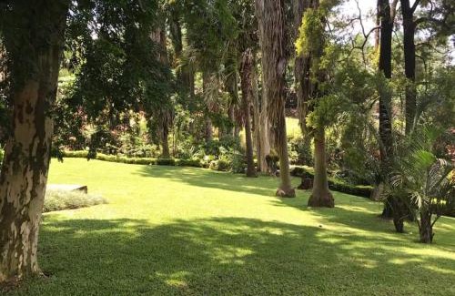 Tzaneen Bed & Breakfast | St George's Guest House