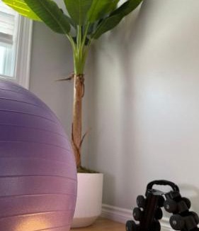 Downtown St. John's Apartment | St Johns spacious Heritage Stay est 1901