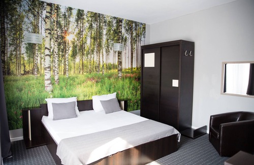Timisoara Hotel | Standard Double Room